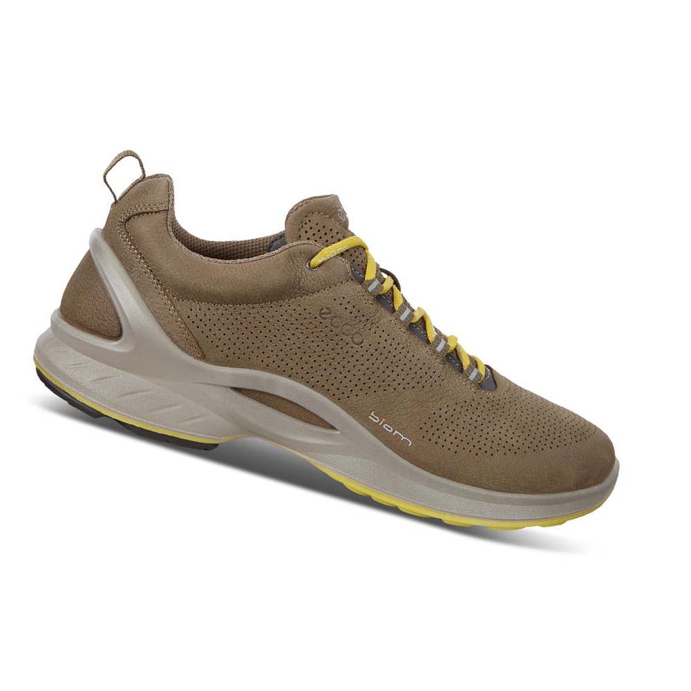 Férfi Ecco Mens Biom Fjuel Perf Hiking & Trail Barna | HU 568JPQ